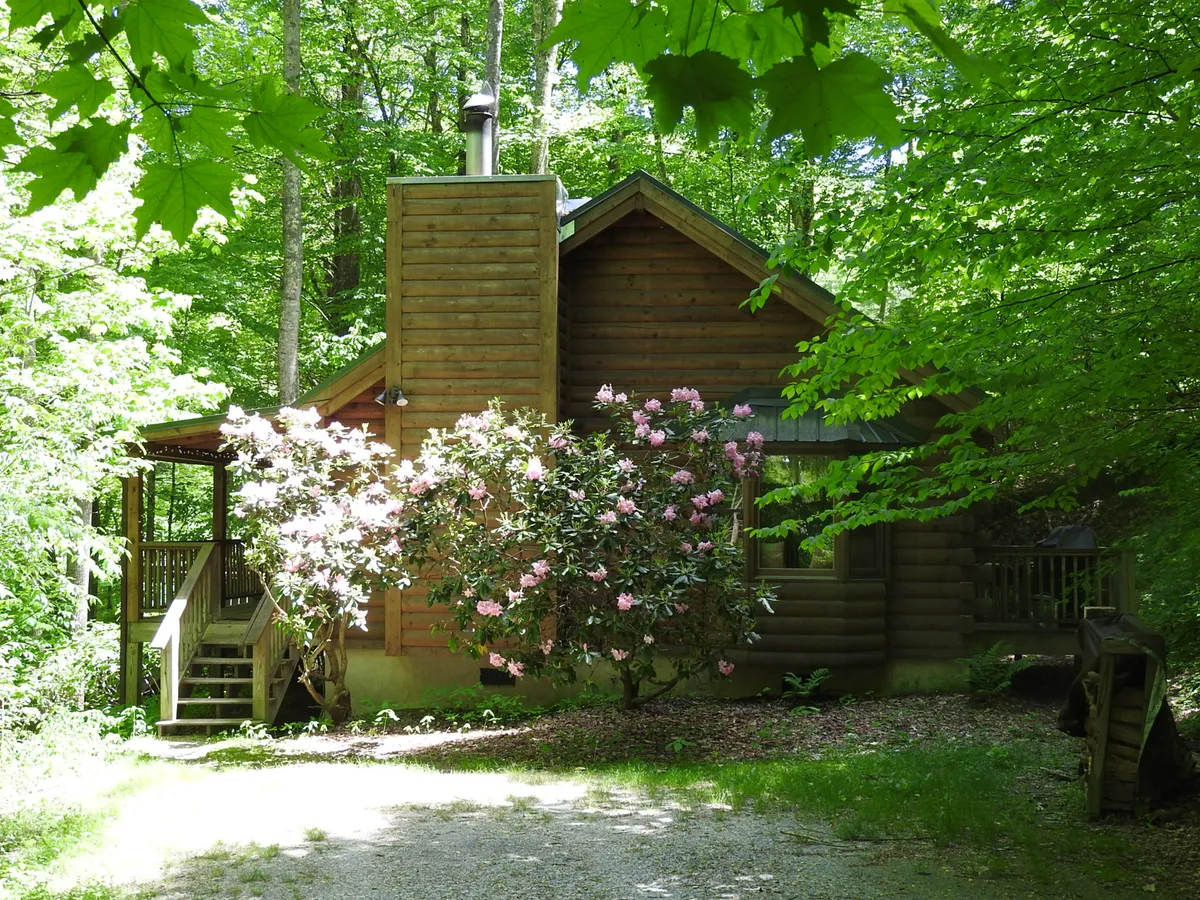 This serene exterior shot highlights the log cabin with a flowering shrub in the foreground and abundant greenery surrounding the property. The porch suggests a spot for morning coffee or evening storytelling, reinforcing the sense of tranquility and intimacy.
